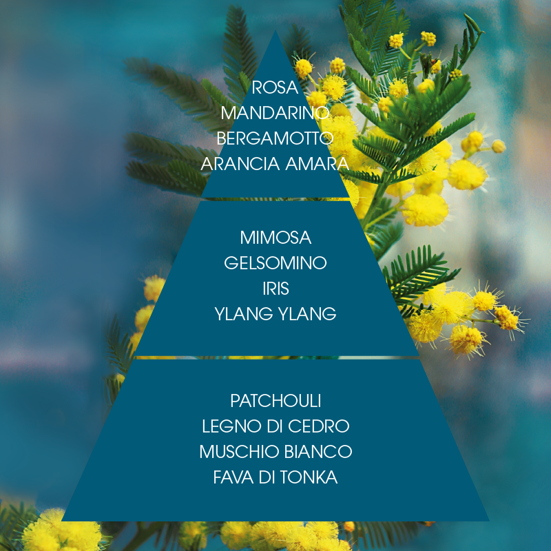 L'amande Crema corpo Mimosa suprema Italy
