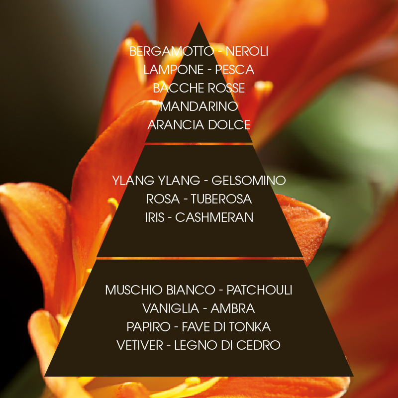 L'amande Crema corpo Lili Fino Al -60%