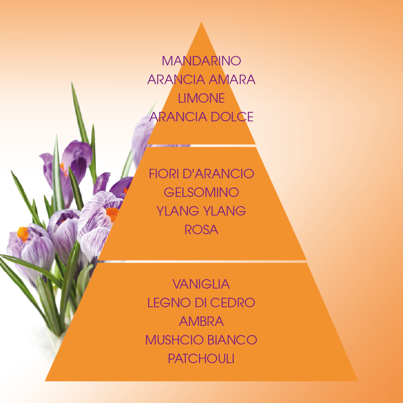 L'amande Sapone profumato Armonie Presa