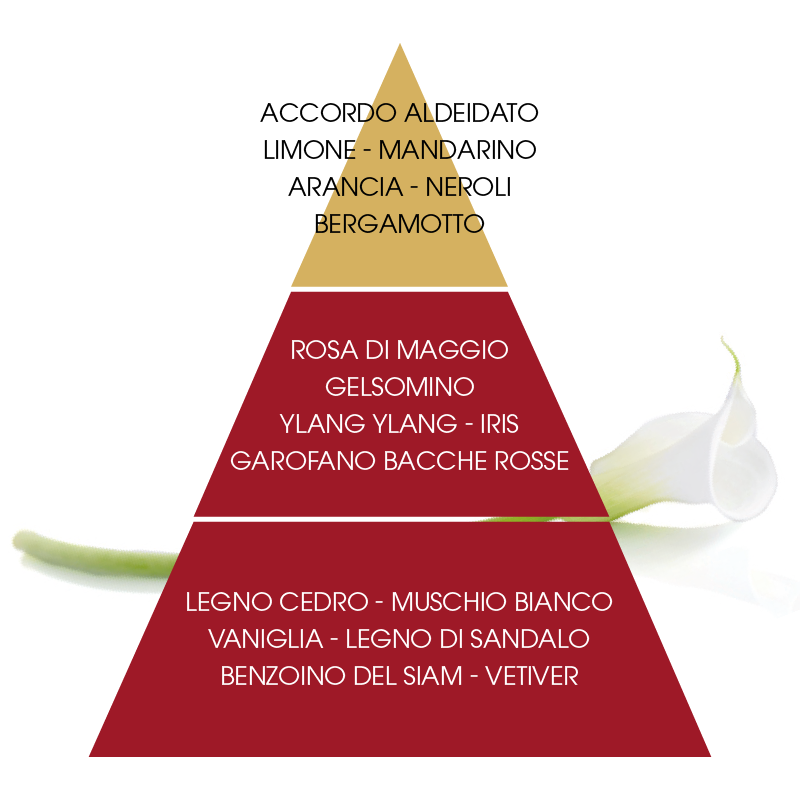 L'amande Detergente liquido Calla Offerte