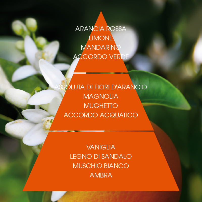 L'amande Eau de Parfum Fior d'arancio supremo Moda
