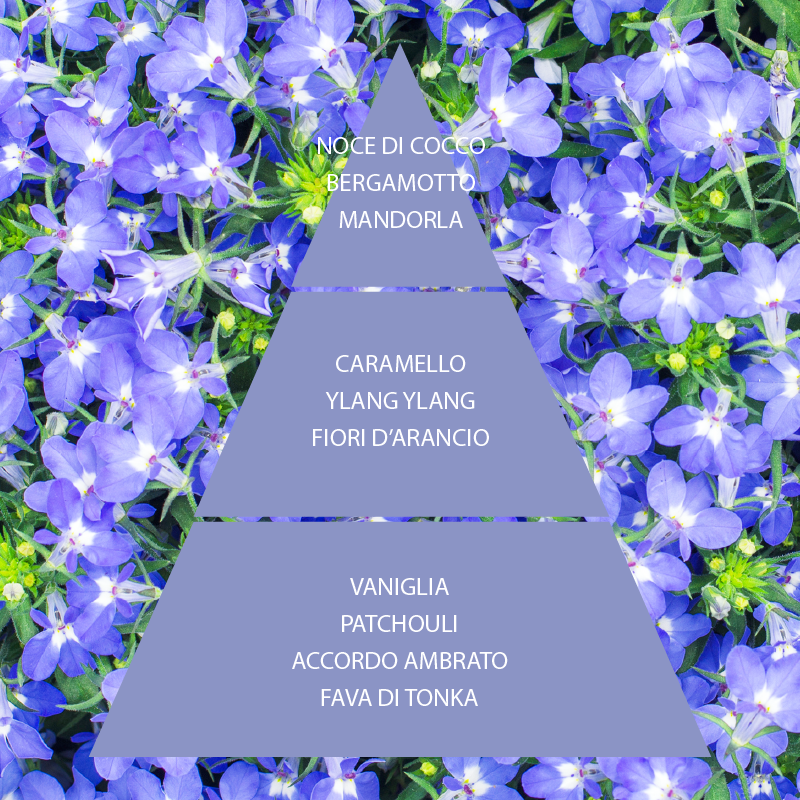 L'amande Eau de Parfum 100ml Fiori di Zaffiro Qualità