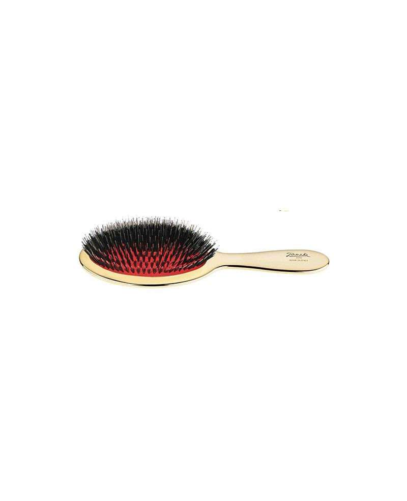 Janeke Spazzola dorata con setole e rinforzo nylon - cod. AUSP22M Acquista Ora