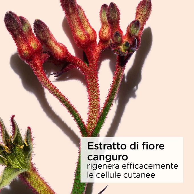Clarins Extra-Firming Crema Antirughe Tutti i tipi di pelle Shopping Online