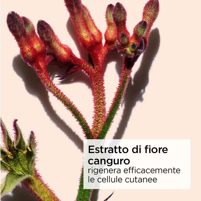 Clarins Extra-Firming Crema Antirughe Notte Speciale Pelle Secca Super sconto