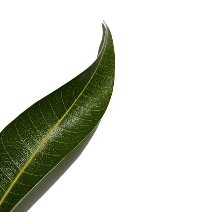 Clarins UV PLUS Antinquinamento Trasparente Economico