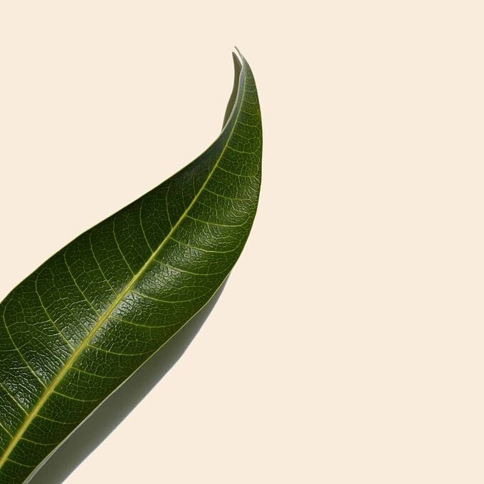 Clarins UV Plus SPF50 texture beige Offerta